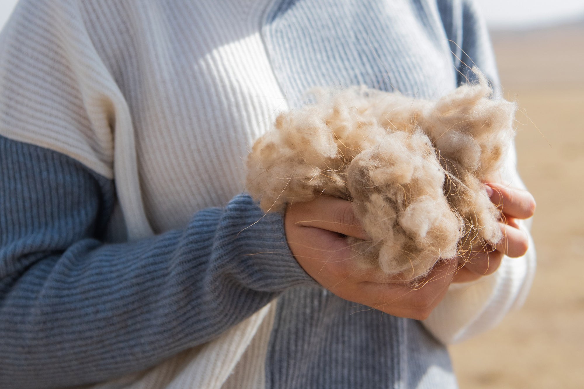 From Nomadic Roots to Your Wardrobe: The Allure of Mongolian Cashmere