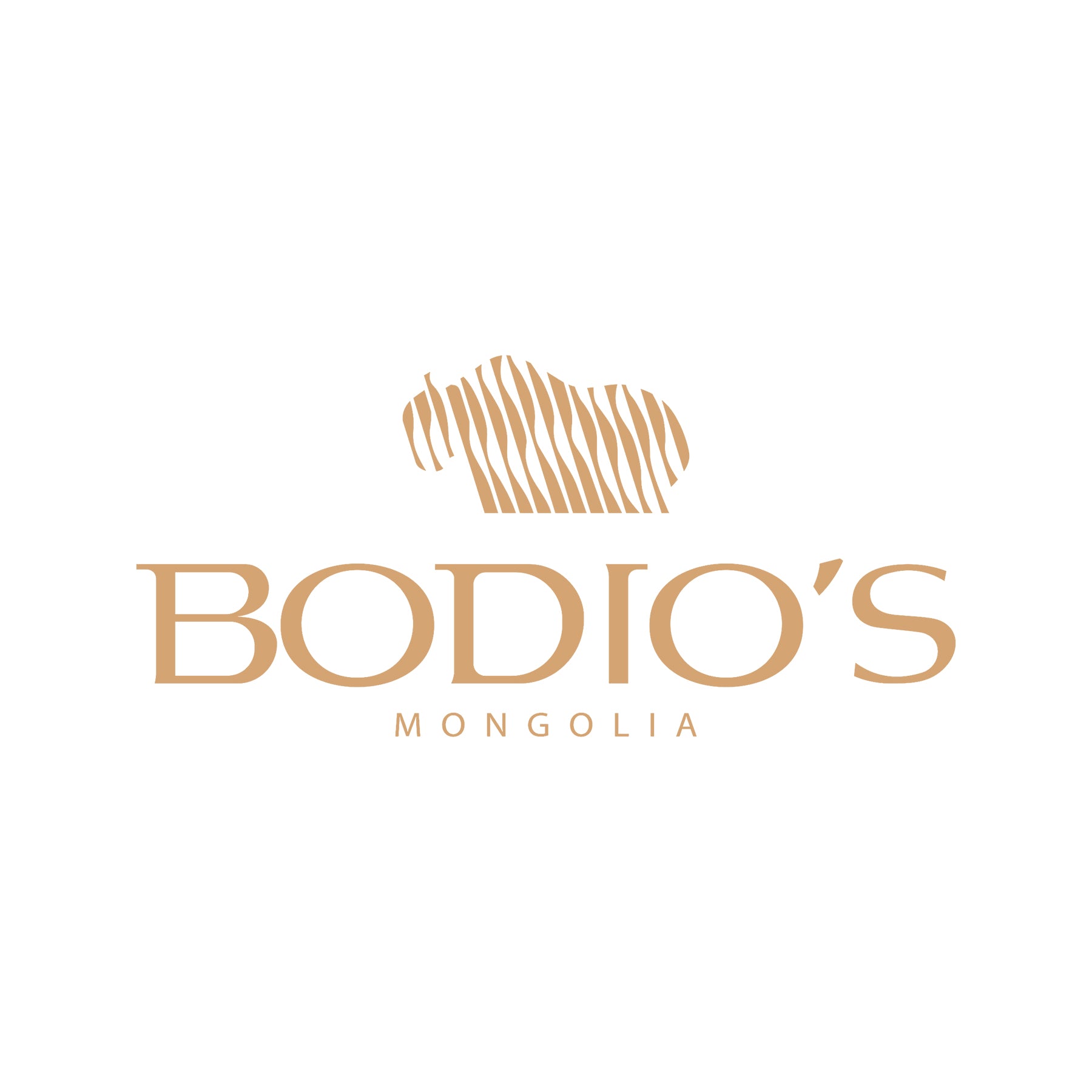Cashmere & Wool Bodios Accessories