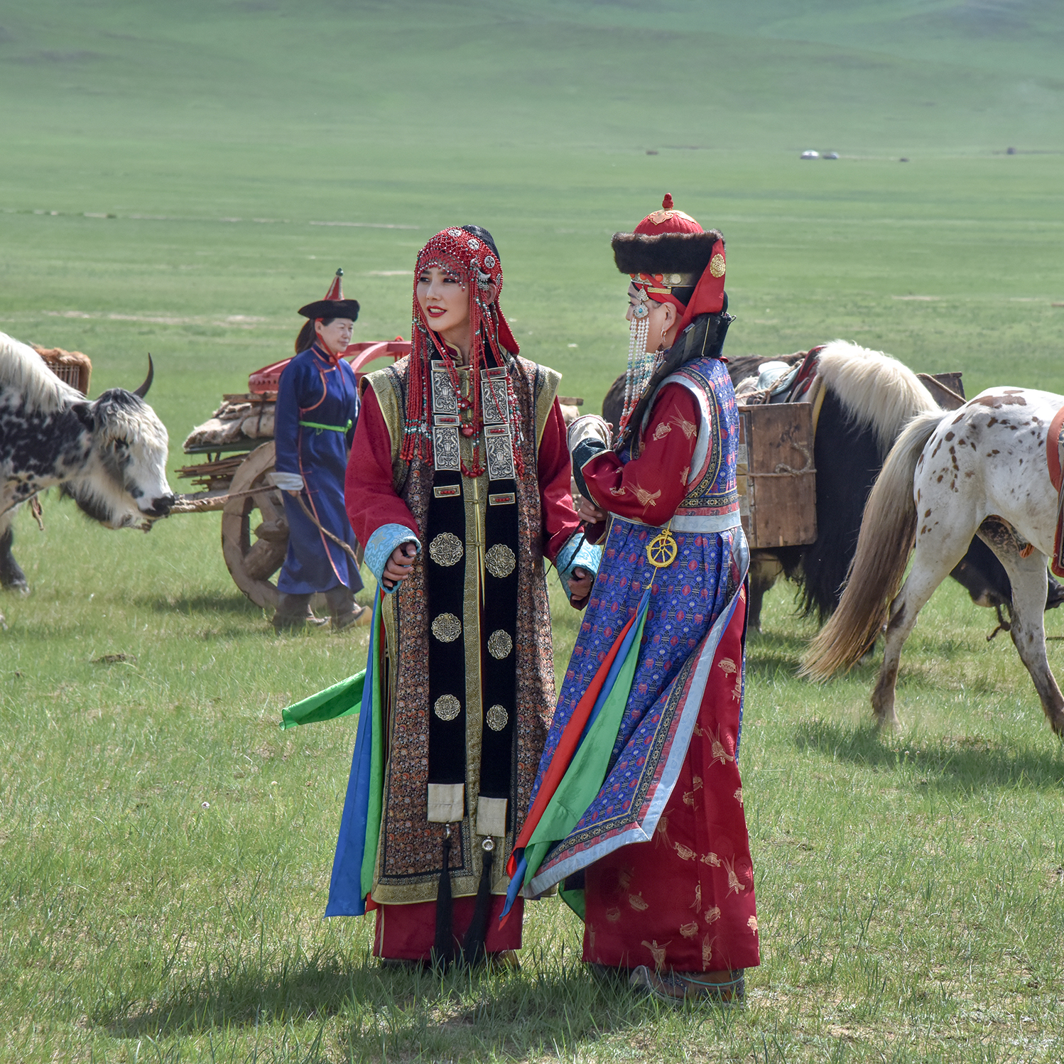 The national pride 'Naadam' festival celebrated wearing the traditional dress 'Deel'