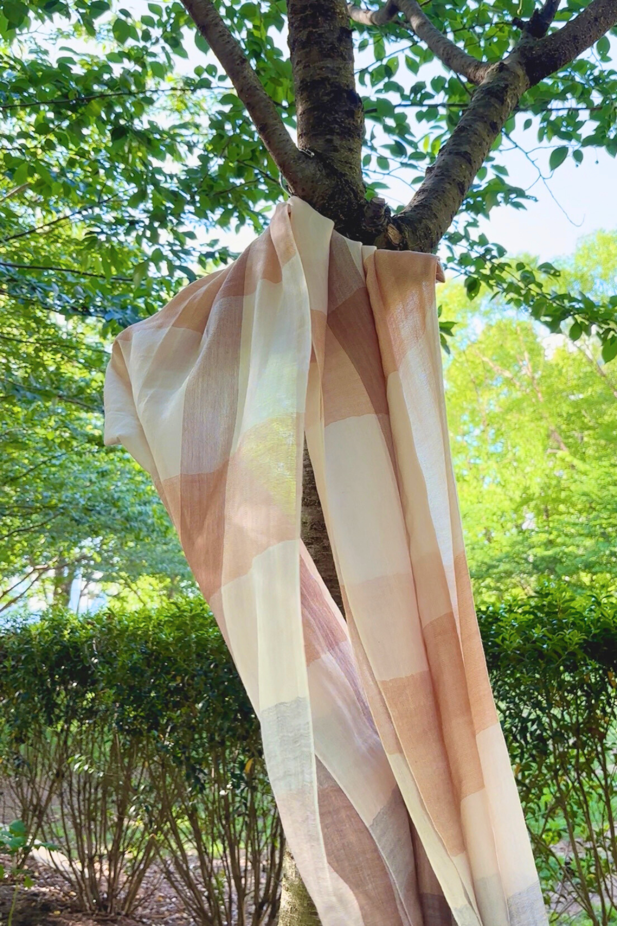 Cashmere Shawl